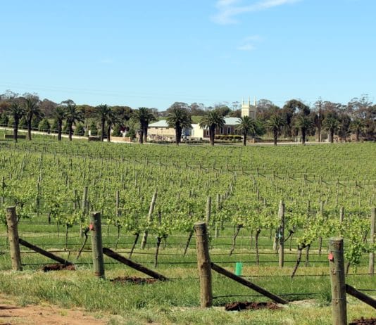 Visiter Barossa Valley - Adélaïde - Australie