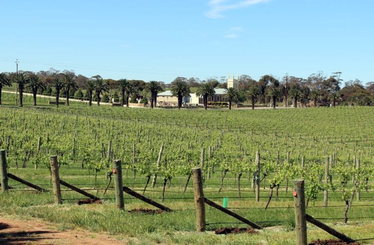 Visiter Barossa Valley - Adélaïde - Australie