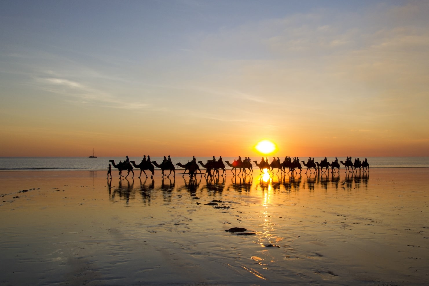 Chameaux sur la plage de Cable Beach - Broome - Western Australie, au coucher du soleil