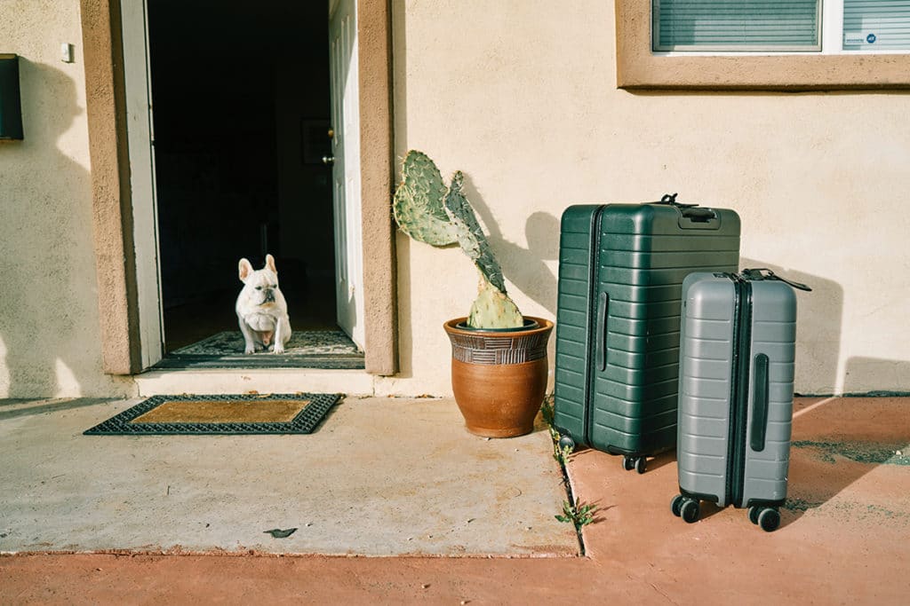 les animaux de compagnie douanes en australie