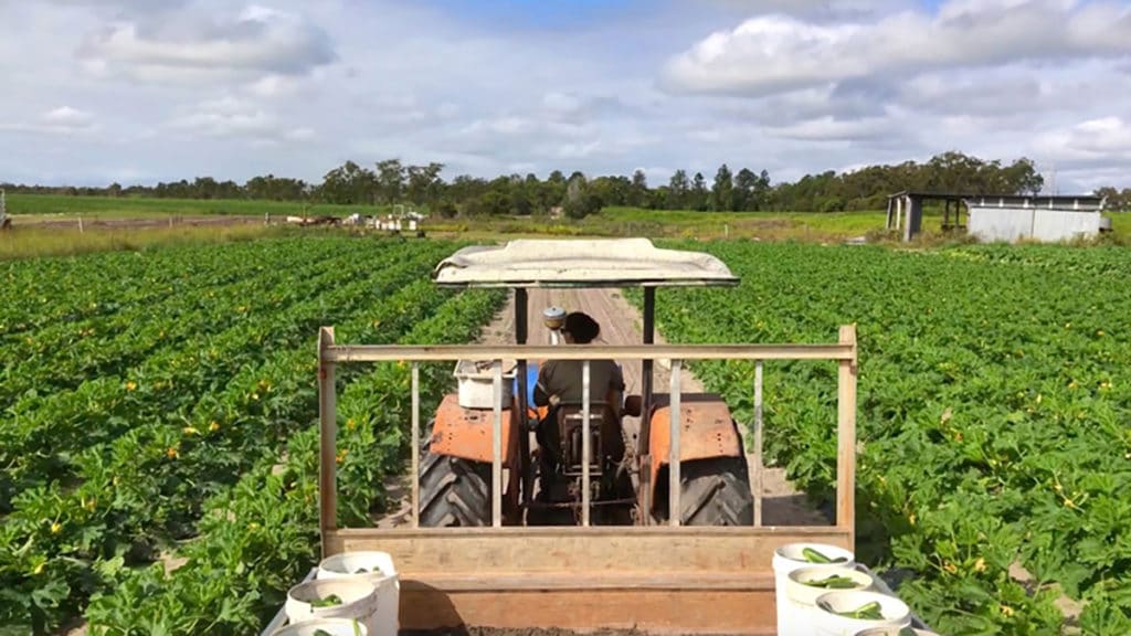 tracteur dans les fermes en australie