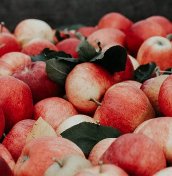 88 jours ferme en australie