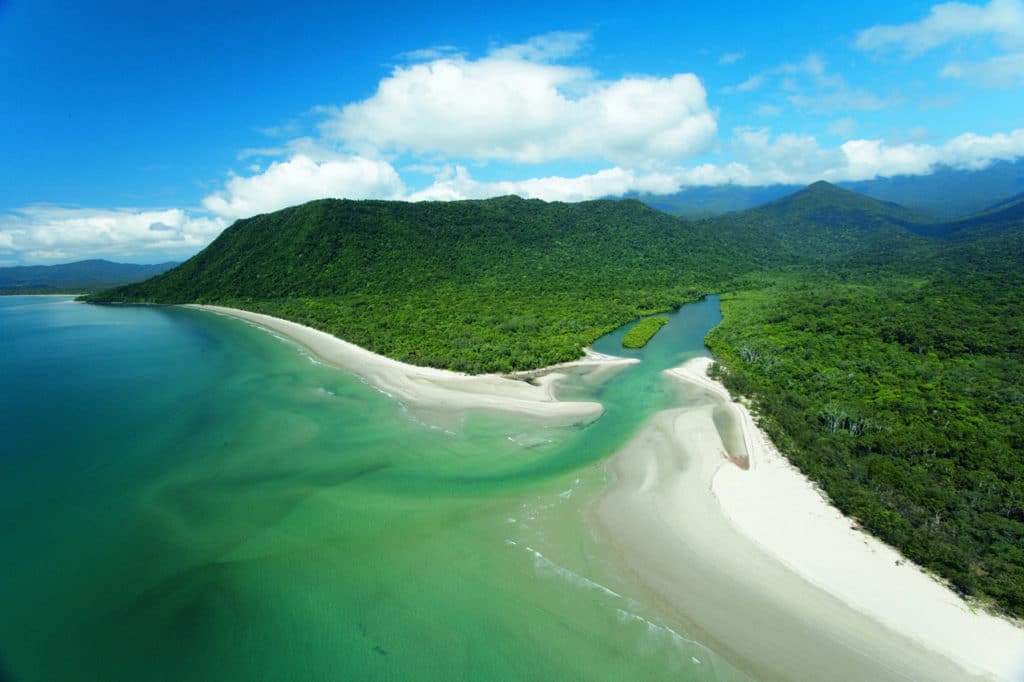 daintree forest & cape tribulation