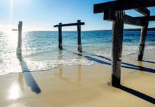 shark bay