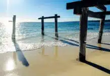 shark bay