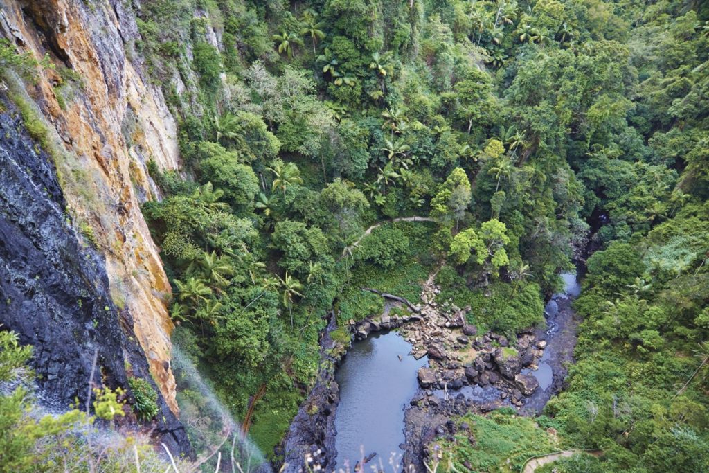 road trip cote est australie springbook national park