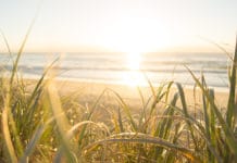 sunshine coast