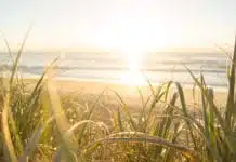 sunshine coast