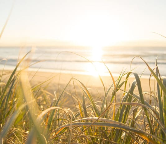 Les meilleurs lieux à visiter sur la Sunshine Coast sunshine coast