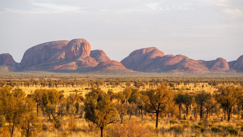 vue du lever de soleil sur les Kata Tjuta dans le centre rouge de l'Australie