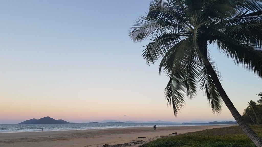 plage de mission beach en australie avec un palmier en premier plan