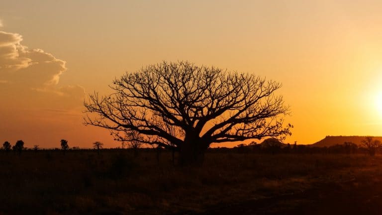 Vol au dessus des Kimberleys – Australie