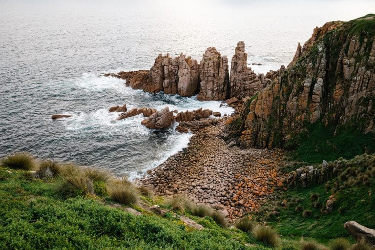 Phillip Island, l’île aux pingouins