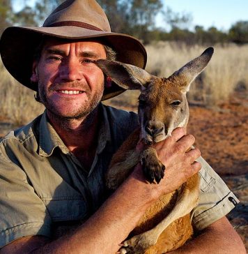 Kangaroo Dundee, sauveteur de kangourous