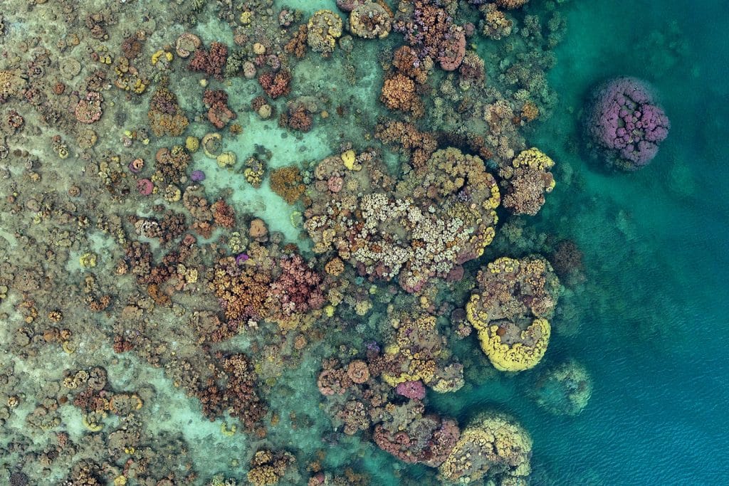 vue aérienne de la grande barrière de corail en Australie