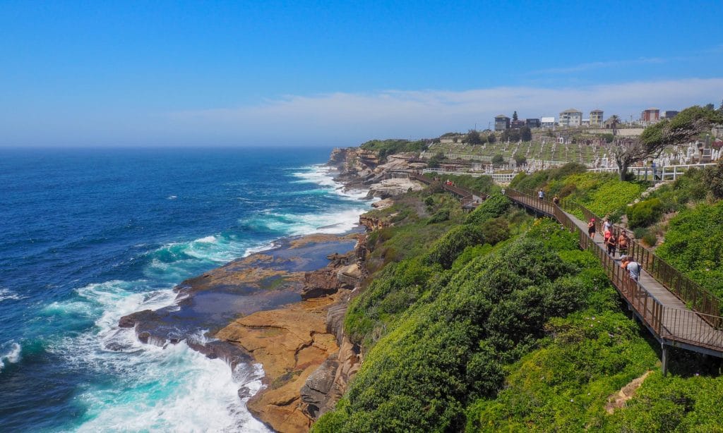 coastal walk entre bondi et coogee dans la région de sydney en australie