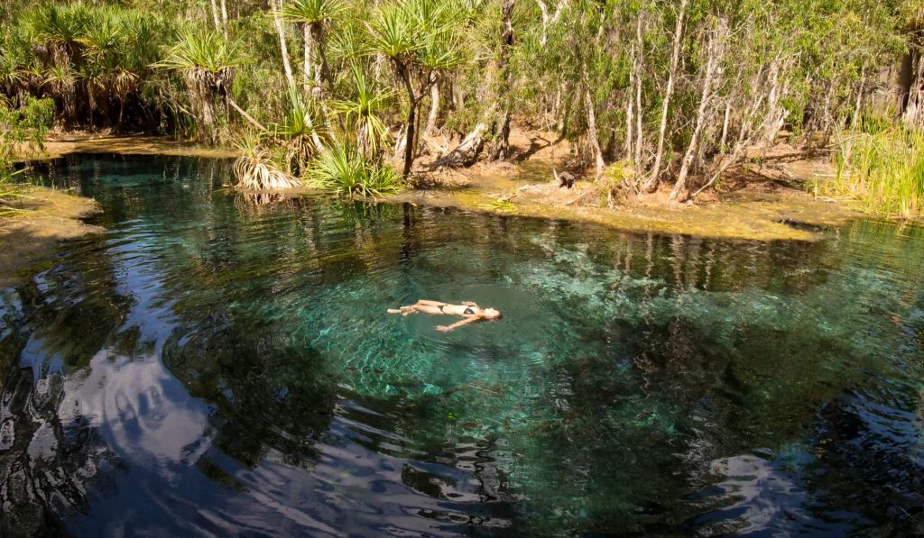 Mataranka, des sources naturelles au milieu du désert