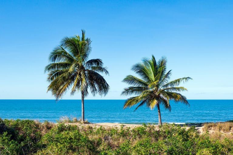 Les meilleures activités à Cairns