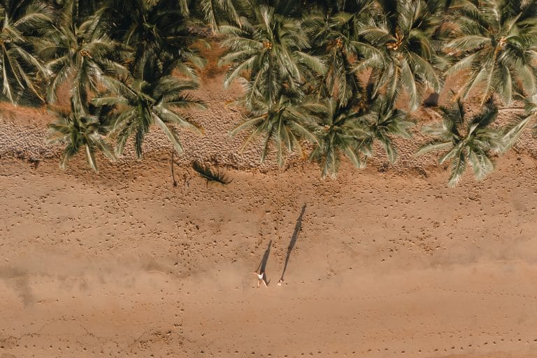 Visiter la région de Cairns : Activités et Sites à ne pas manquer