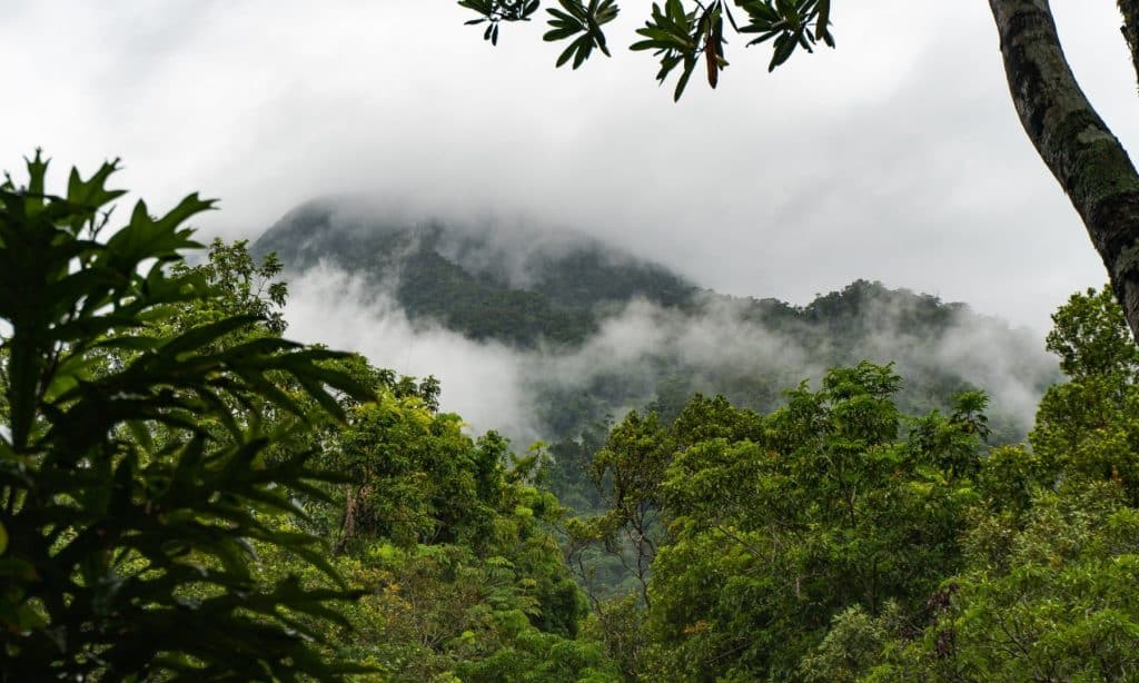 Visiter Mosman Gorge dans le Queensland en Australie