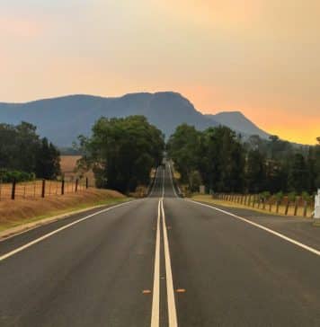 Visiter la Hunter Valley et ses vignobles