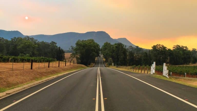 Visiter la Hunter Valley et ses vignobles, ce qu’il faut savoir