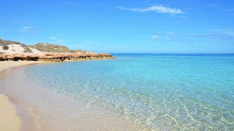 Visiter Exmouth et la Ningaloo Reef (WA)