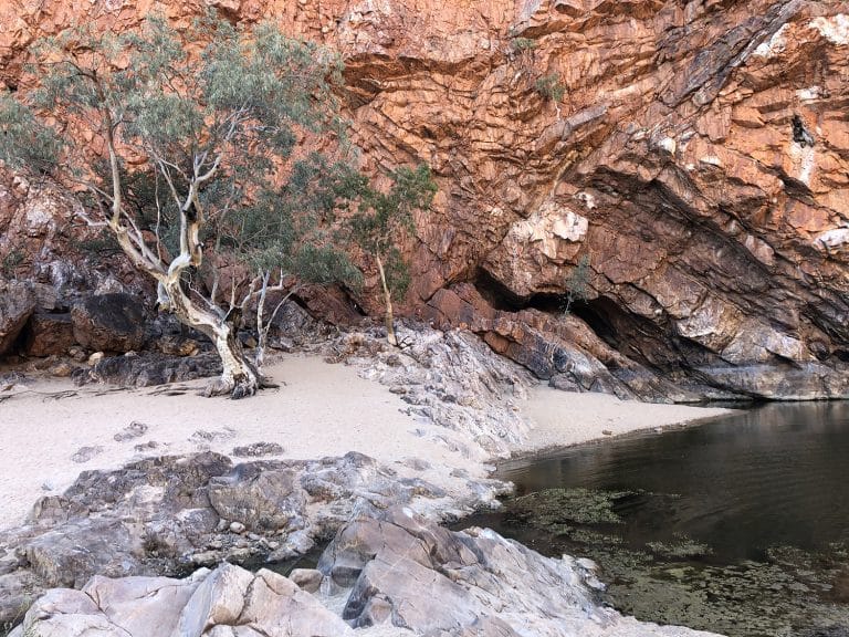 Découvrir les MacDonnell Ranges