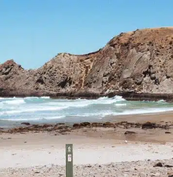 Visiter la Fleurieu Peninsula en Australie du Sud peninsule fleurieu south australia