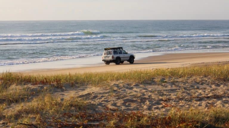 Fraser Island (K’gari) : Guide complet et conseils