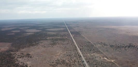 Plaine de Nullarbor : Itinéraire et Guide Pratique