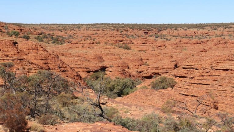 Que faire et que voir à Kings Canyon ? (Watarrka National Park)