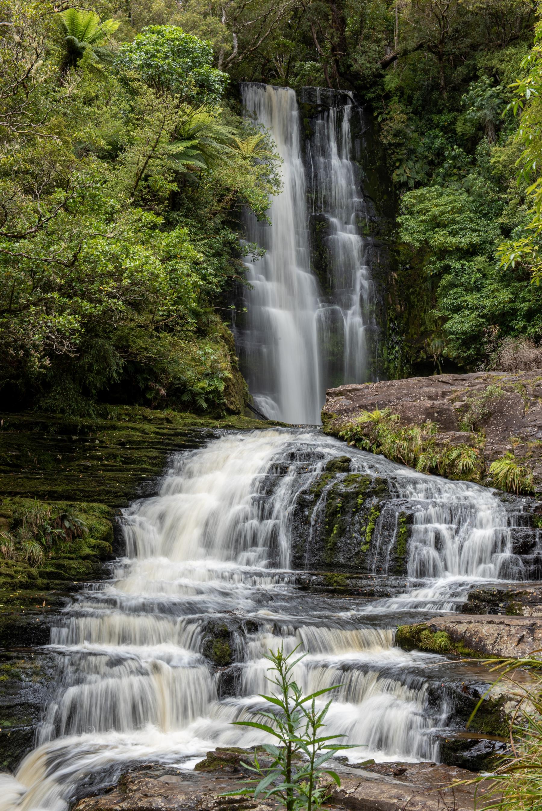 Catlins Forest Park - île du sud Nouvelle Zélande