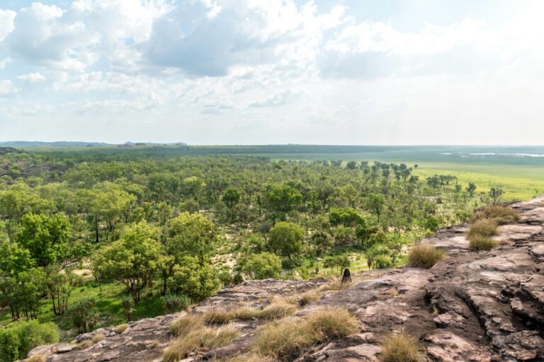 Visiter le Kakadu National Park en 3 jours